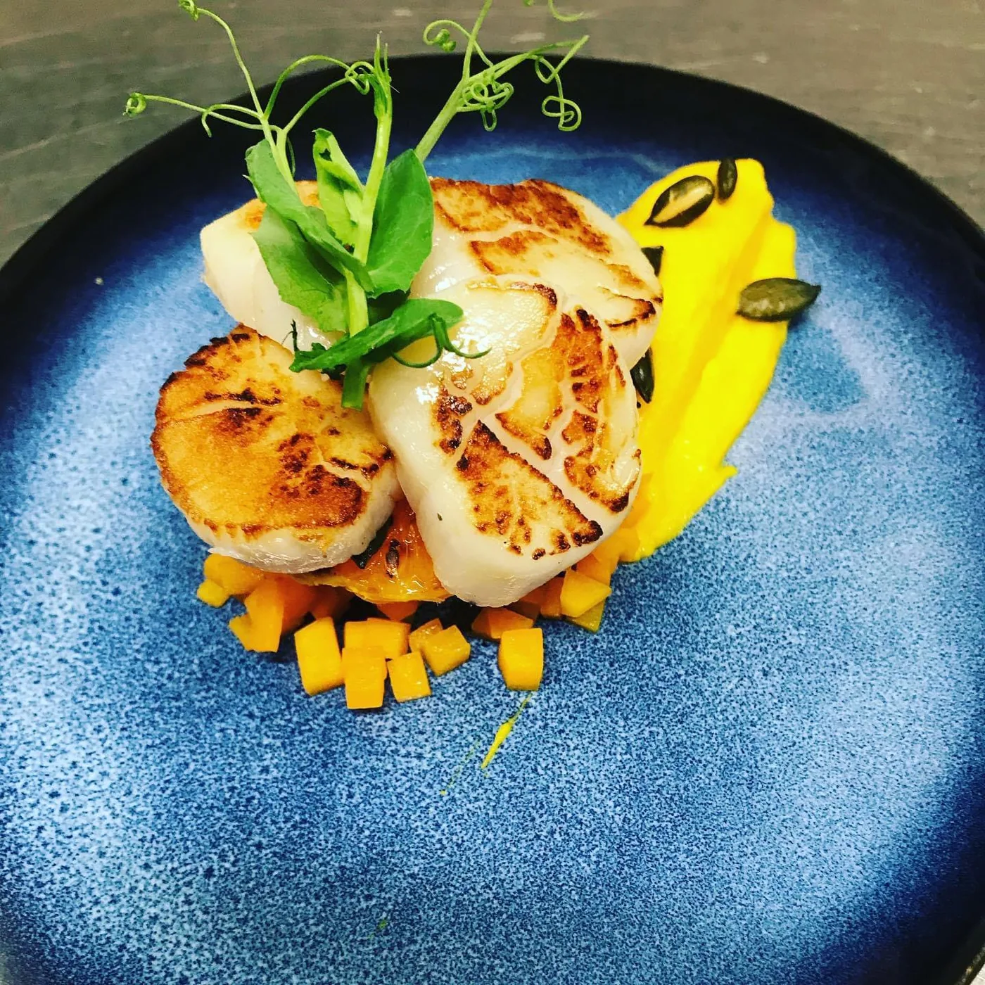 Noix de Saint-Jacques et purée de courge, traiteur mariage en Bretagne